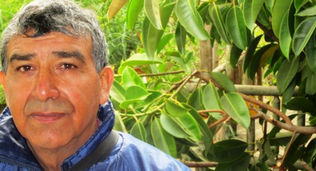 La Batalla por la vida de José Carrera