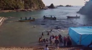 “The Cove”, el premiado documental que muestra matanza de delfines en Japón