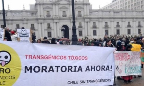 Ley de “Obtentores Vegetales” en espera… protestas sociales detuvieron votación