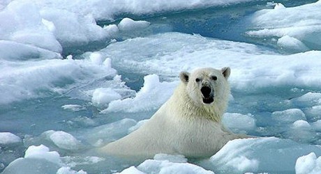 El hombre es el principal<br/> causante del cambio climático