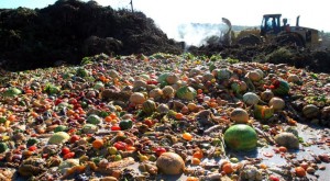 Día Mundial de la Alimentación: 842 millones pasan hambre… y 1.3 mil millones de toneladas de comida se botan