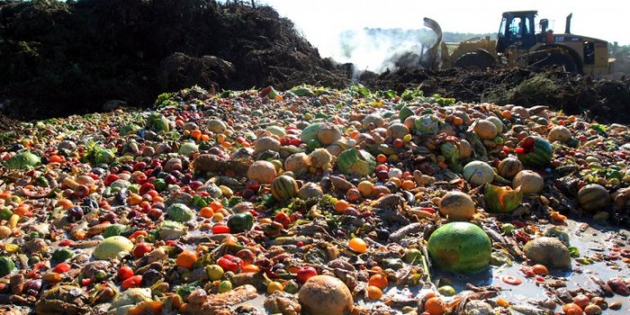 Día Mundial de la Alimentación: 842 millones pasan hambre… y 1.3 mil millones de toneladas de comida se botan