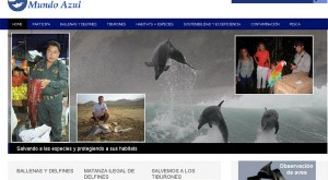 Perú: ONG destapa matanza de delfines y gobierno anuncia investigación