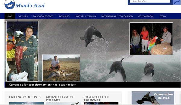Perú: ONG destapa matanza de delfines y gobierno anuncia investigación