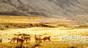 Barrick Gold anuncia suspensión de Pascua Lama