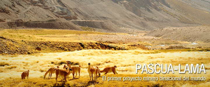 Barrick Gold anuncia suspensión de Pascua Lama
