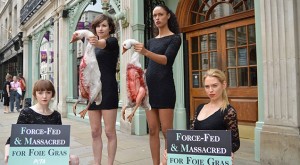 Reino Unido: Amazon prohíbe foie-gras y productos en base a ballena y delfín