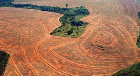 Brasil: Deforestación de la Amazonía aumentó 28% el último año