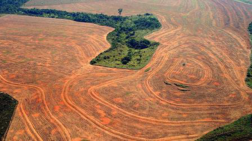 Brasil: Deforestación de la Amazonía aumentó 28% el último año
