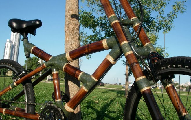 ONU premia bicicletas de bambú de ghanesas y a guatemaltecas que plantan árboles