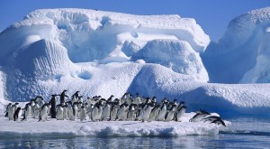 Un muy mal día para la Antártica