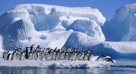 Un muy mal día para la Antártica