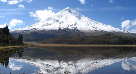 Identifican los 78 lugares que pueden “salvar” la biodiversidad del planeta