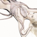 animales 6