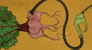 Los “engañosos” biocombustibles