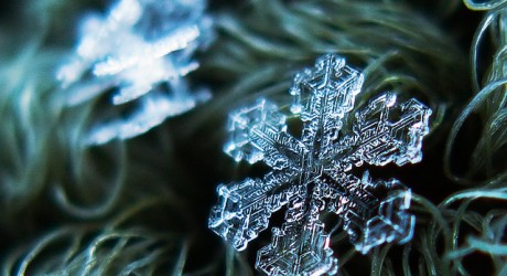 Nieve, perfectos copos de nieve
