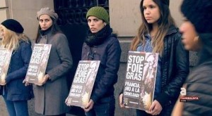 Uno de cada tres franceses no compra foie gras por motivos éticos