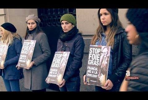 Uno de cada tres franceses no compra foie gras por motivos éticos