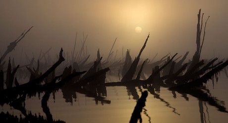 Lodge de Chiloé entre los 10 más “eco” del mundo