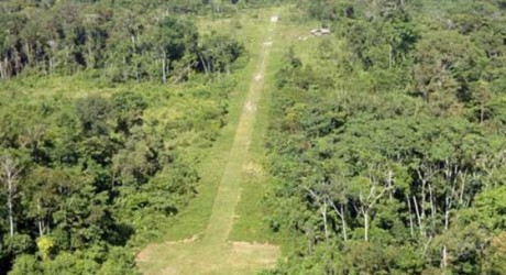 El narcotráfico también mata selvas tropicales