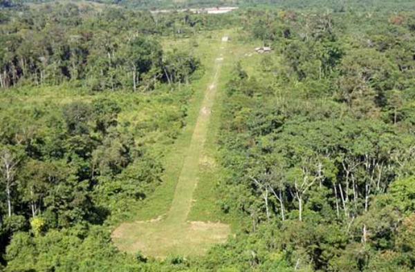 El narcotráfico también mata selvas tropicales