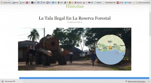 ‘Bosques en tiempo real’ para alertar sobre deforestación