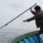 Arponeros peruanos de delfines.