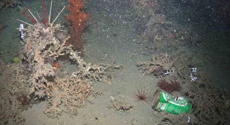 Vertederos submarinos, la basura plástica de las profundidades