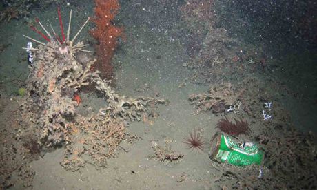 Vertederos submarinos, la basura plástica de las profundidades