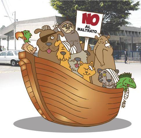 Costa Rica se moviliza por una ley contra maltrato animal
