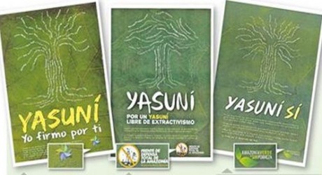Defensores de Reserva en selva amazónica ecuatoriana acusan fraude