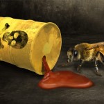 Desaparción de las abejas está vinculada al uso de neonicotinoides.
