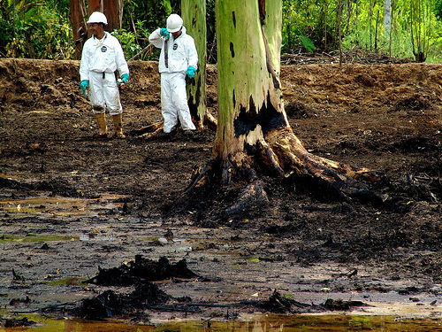 La carta de un Nobel de la Paz por la justicia ambiental