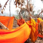 monjes budistas