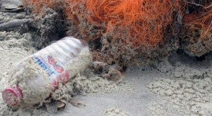 ONU le pone precio a los costos de la «huella de plástico» en los océanos