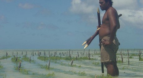 ¿Primeros refugiados por el cambio climático?