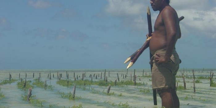 ¿Primeros refugiados por el cambio climático?