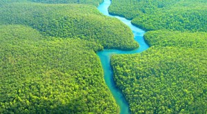 Gigantesca torre en el corazón del Amazonas…