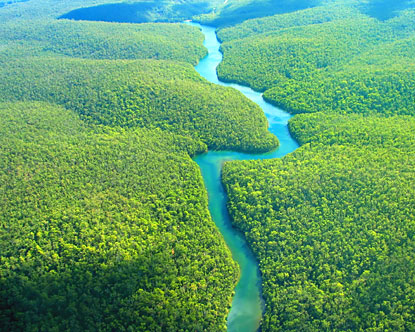 Gigantesca torre en el corazón del Amazonas…