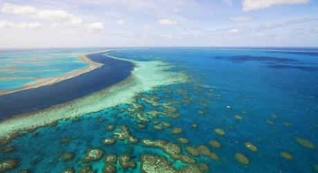 Científicos en picada contra plan de gobierno que pretende “salvar” Gran Barrera de Coral