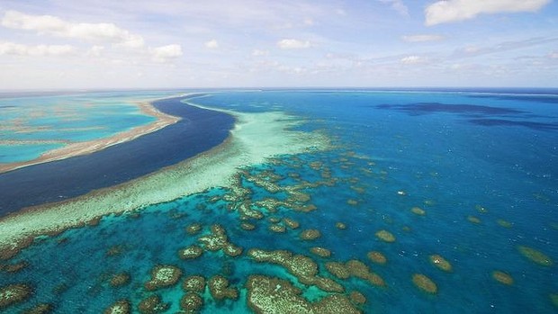Científicos en picada contra plan de gobierno que pretende “salvar” Gran Barrera de Coral