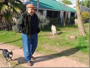 Este es el entorno de la casa del Presidente. Y estos sus compañeros. 