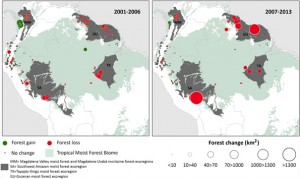 Los puntos en rojo marcan los bosques pérdidos.