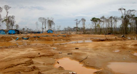 La fiebre del oro arrasa <br/>los bosques sudamericanos