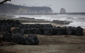 En bolsas negras se ha ido dejando la tierra y los residuos extraídos durante las labores de descontaminación, en una zona de 16 kms2. Estas bolsas figuran en una playa cercana a Fukushima.