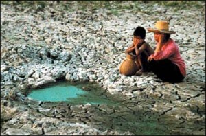 Las precipitaciones fueron altas y bajas. De allí que tanto inundaciones como sequía, fueron parte del panorama mundial.